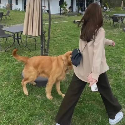 狂吻俄罗斯