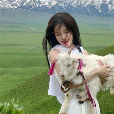 战斗吧灵兽